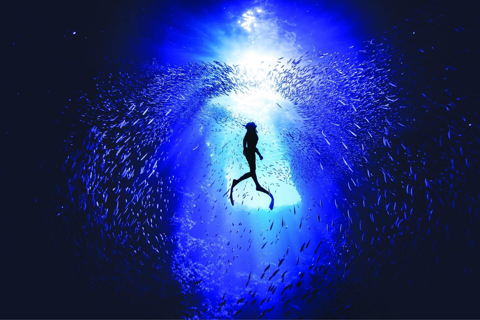 TCP Wavy Ocean Swim Blue CMYK
