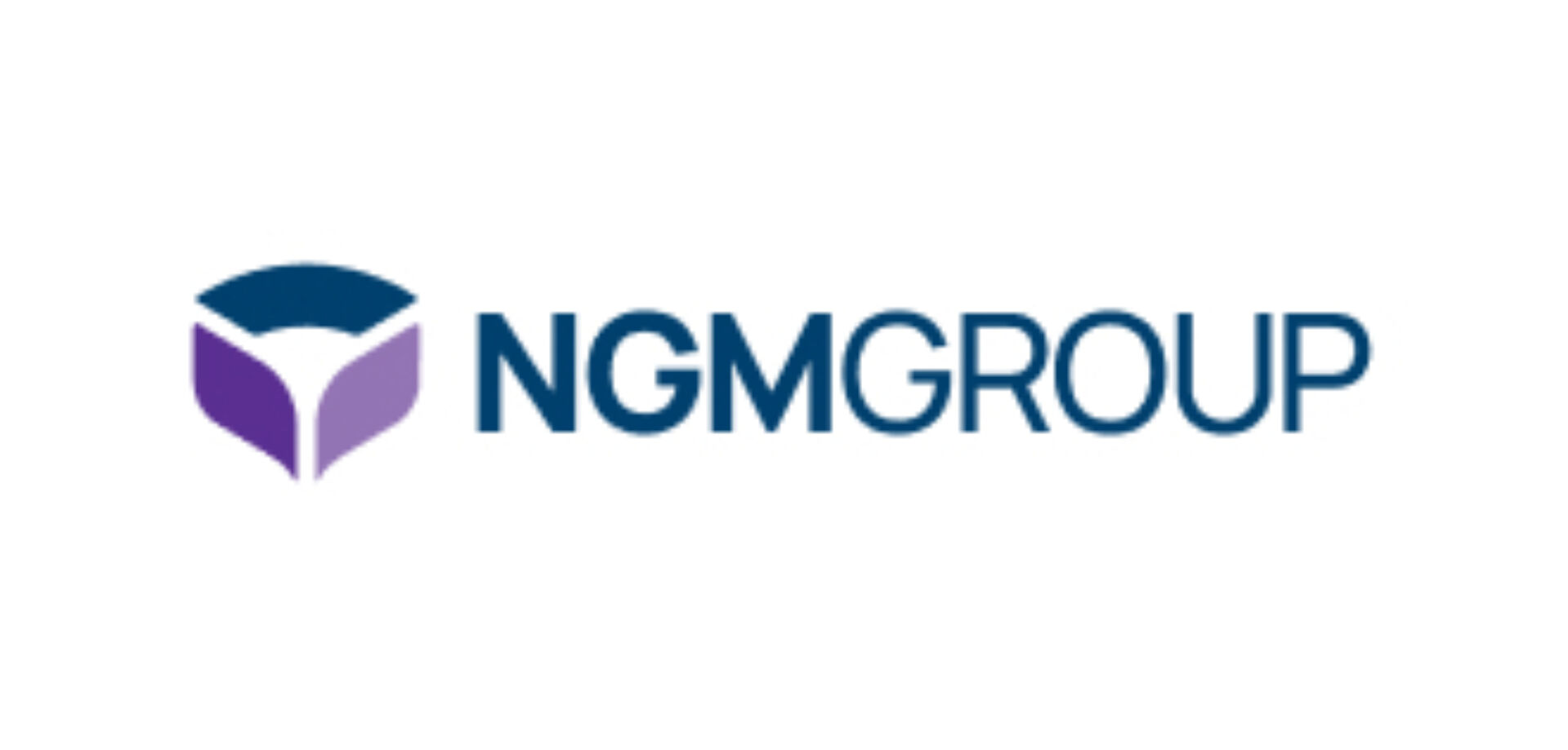 Ngm group